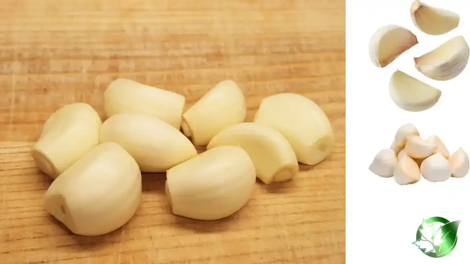 Wholesale packaging for Peeled Garlic can be planned for grocery retail, commercial kitchens, customer-brand, or industrial-scale distribution.